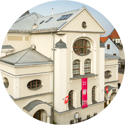 T_VISIT_SECTION_IMAGE